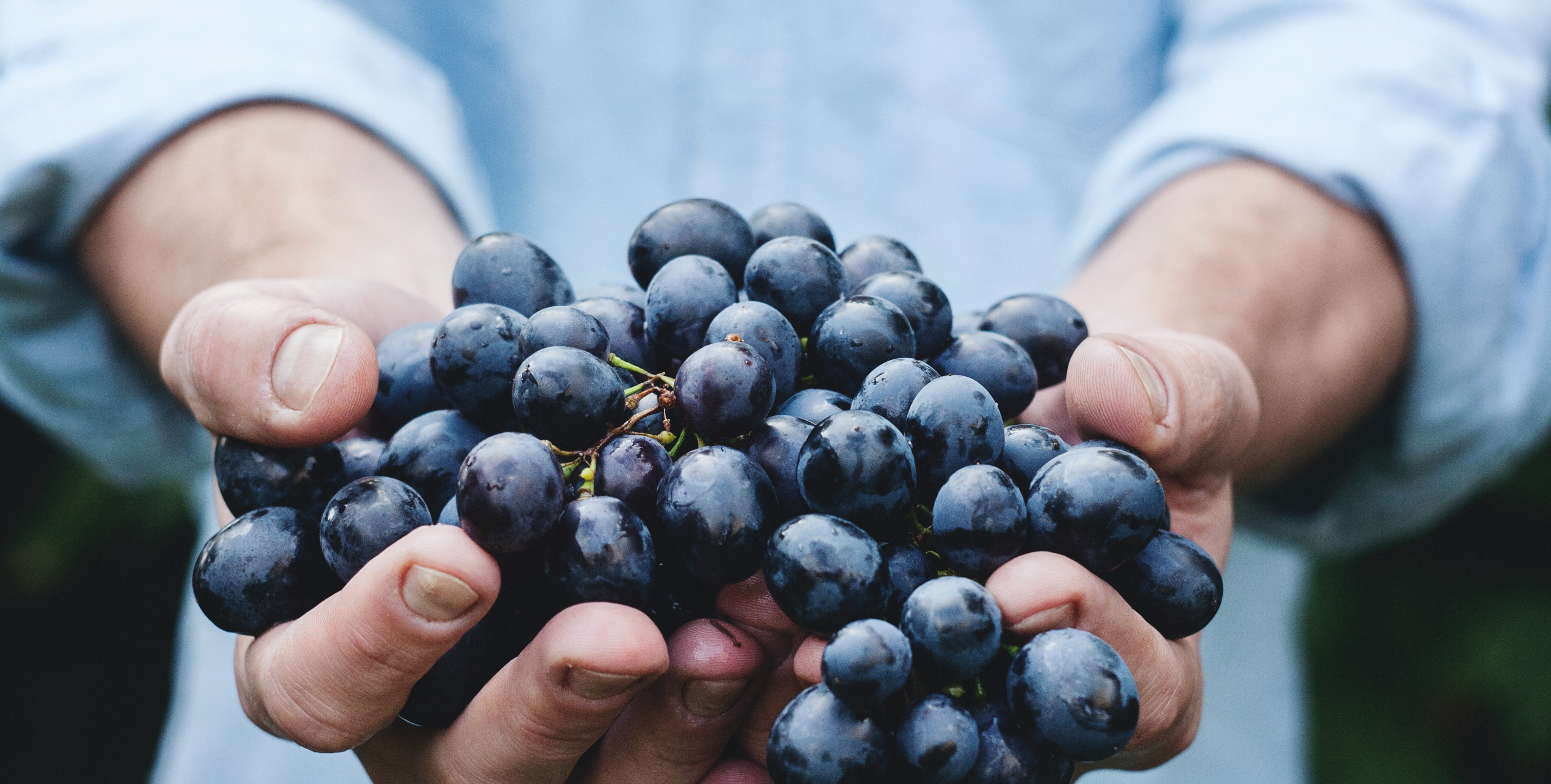 Spiess Wine Company Video
