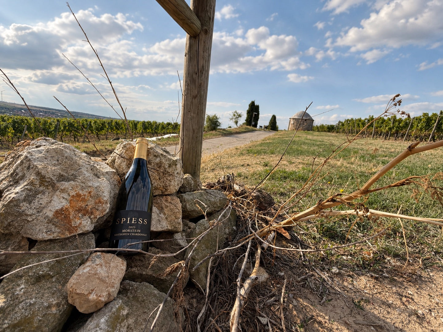 Unser erster Chardonnay aus dem Morstein