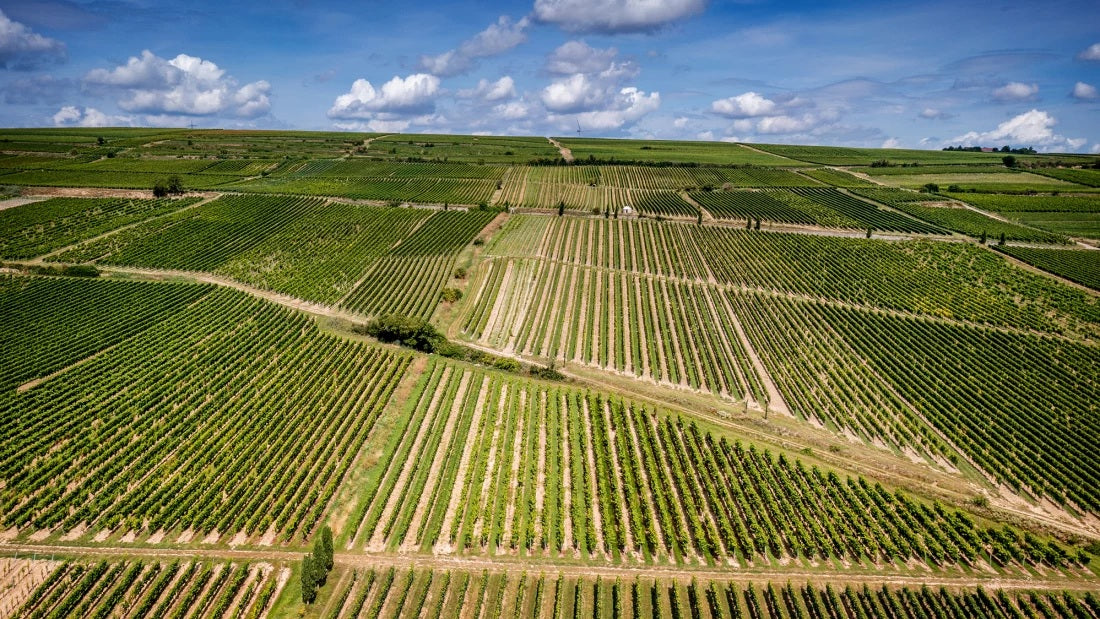 Spiess Wines Image