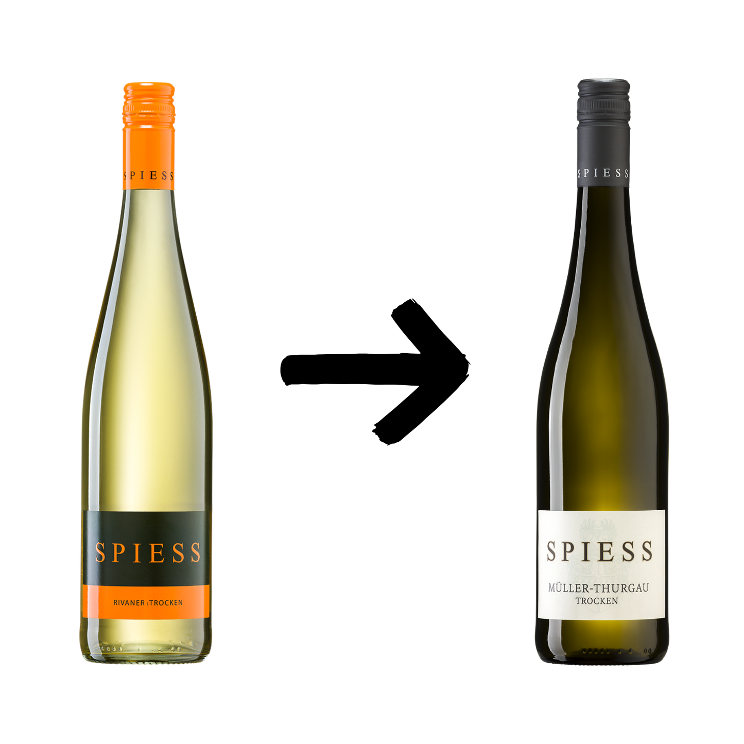 Müller-Thurgau (ehem. Rivaner)